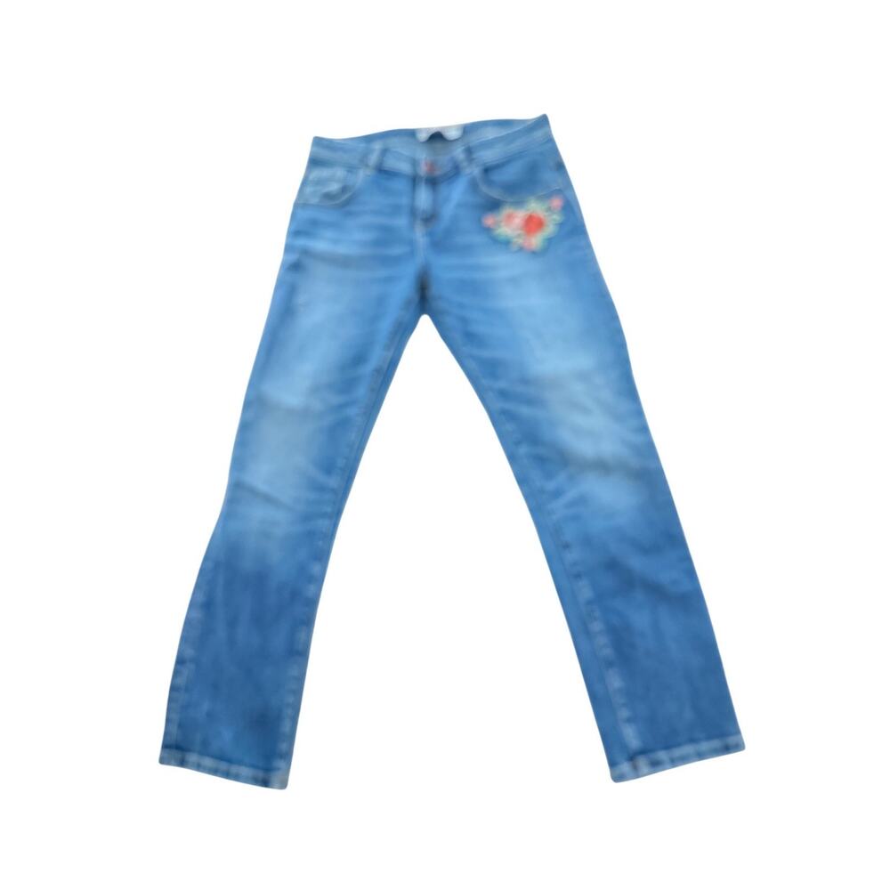 ZARA BASIC Z1975 DENIM Embroidered Flower Jeans Size 24 (US 2)